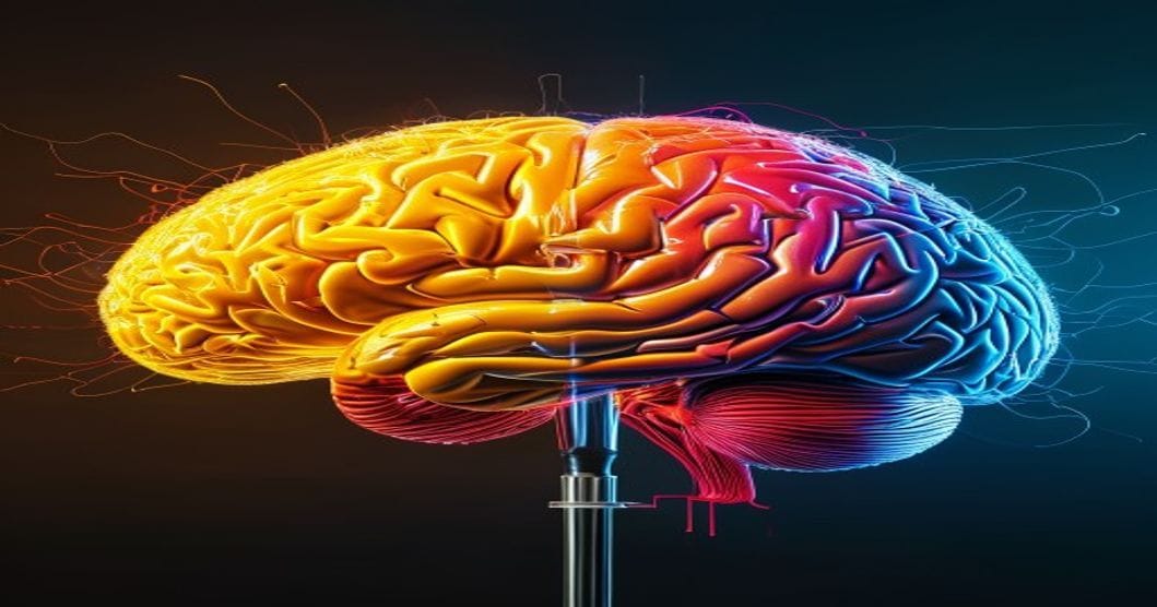 Beyond Brawn and Brains: Striking the Balance in Organizational Development